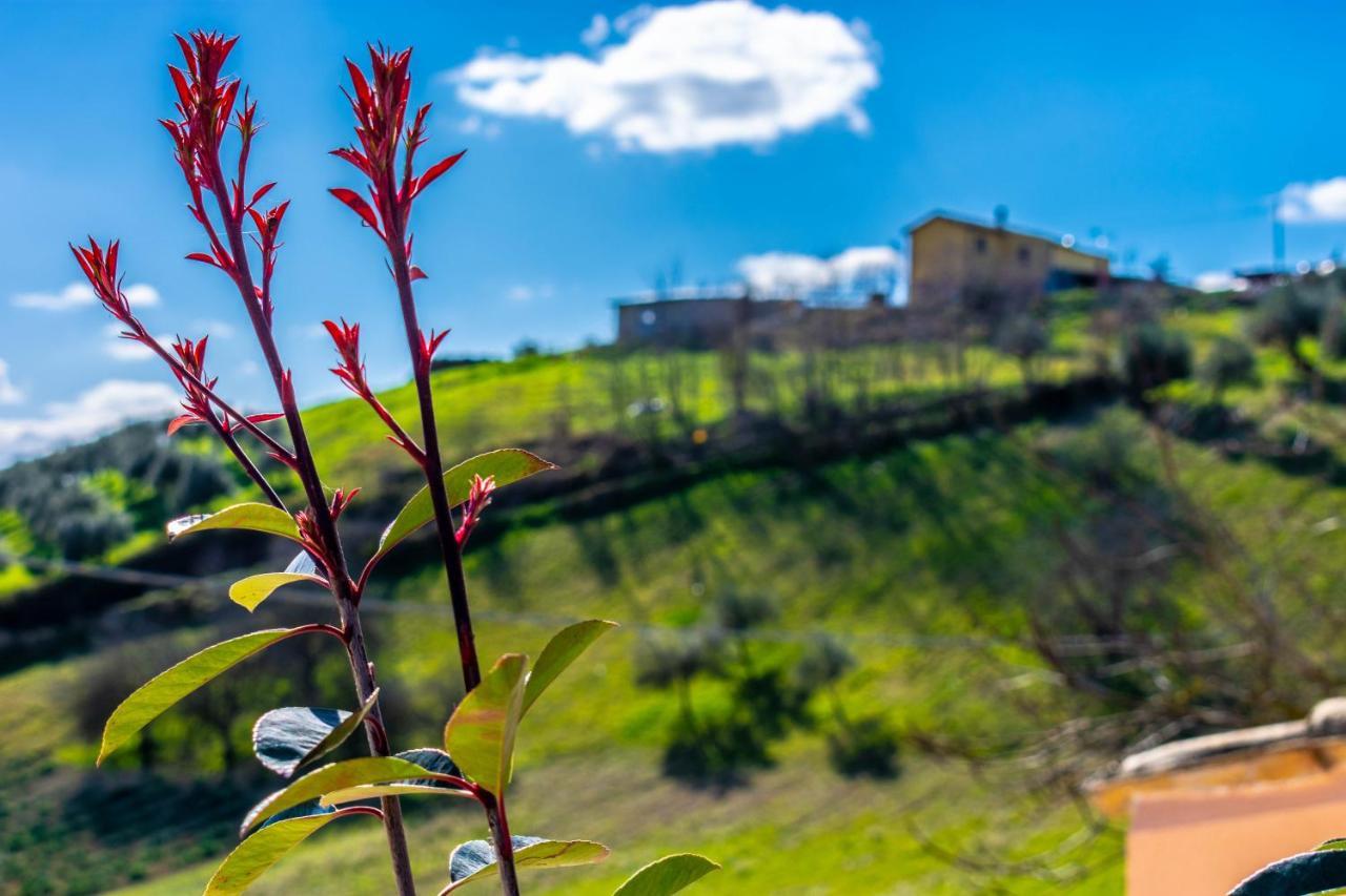 Bed and Breakfast La Casa Del Nonno Spoltore Exteriér fotografie