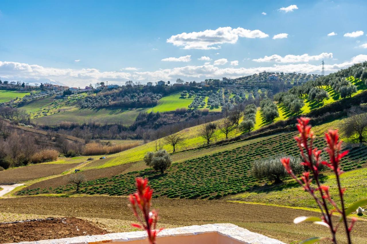 Bed and Breakfast La Casa Del Nonno Spoltore Exteriér fotografie